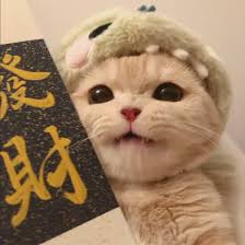 Ảnh đại diện của images (3)